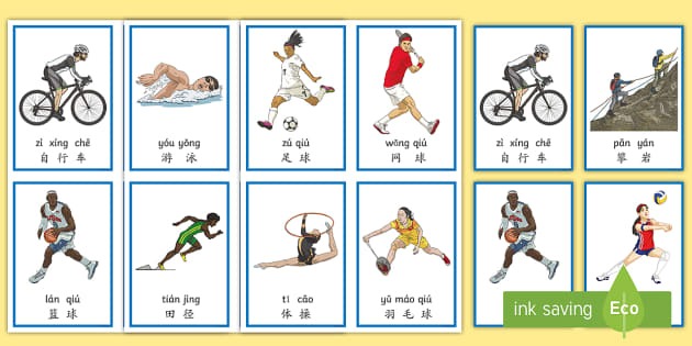 河南体彩公益金用于体育场馆升级