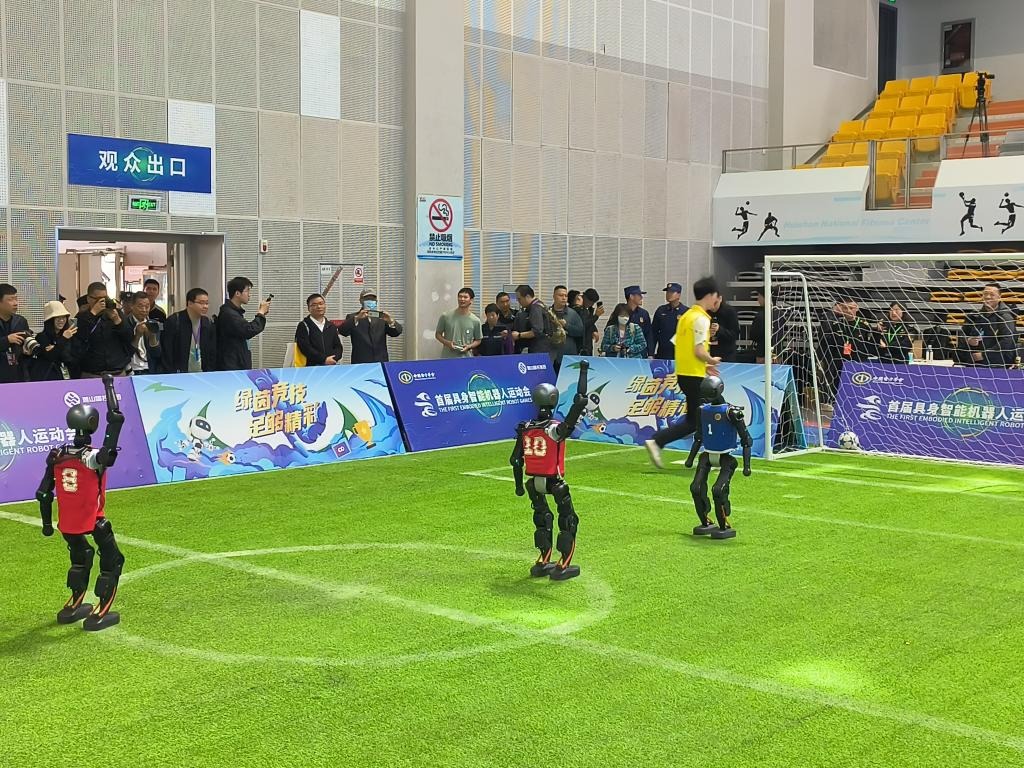 [排球]杨艺：新身份新位置新挑战